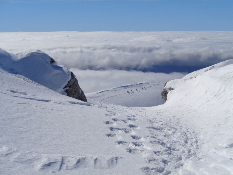 passo strofinatoio 1.JPG