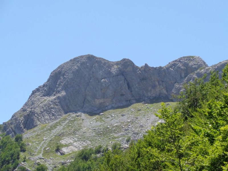 3.monte.grondilice.JPG