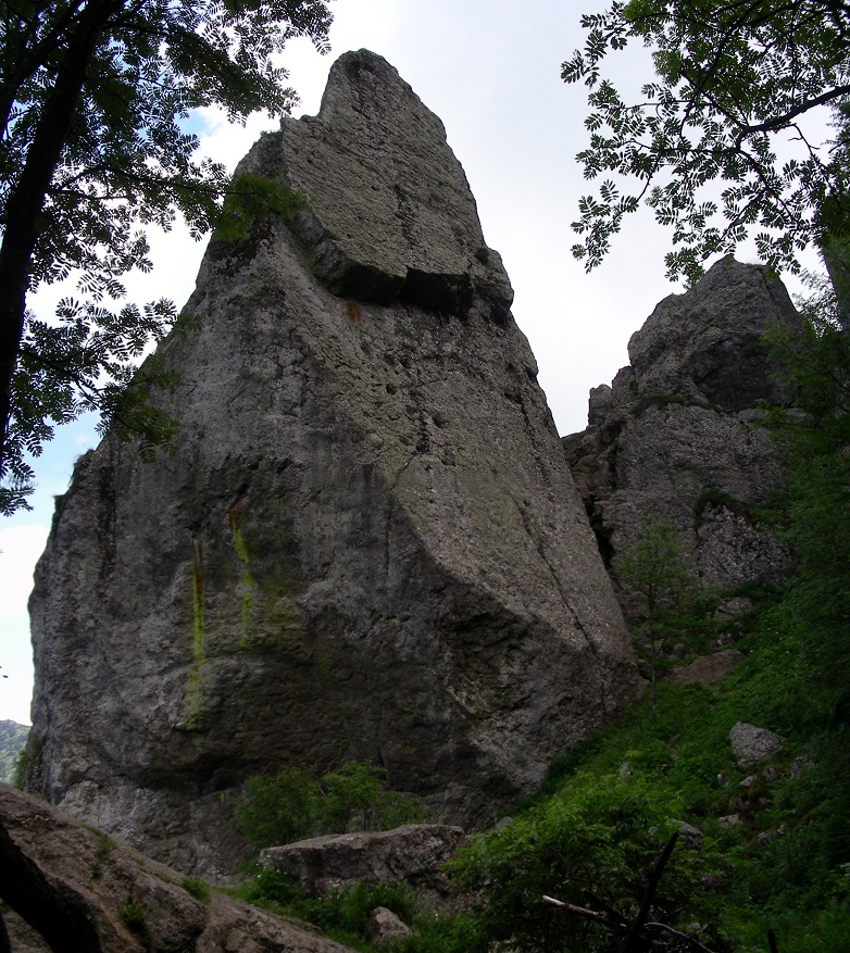 DSCN2442-3p bis cappellaccio.jpg