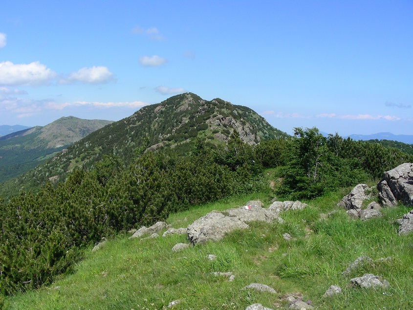 DSCN2513 bis Monte Nero e Ragola.jpg