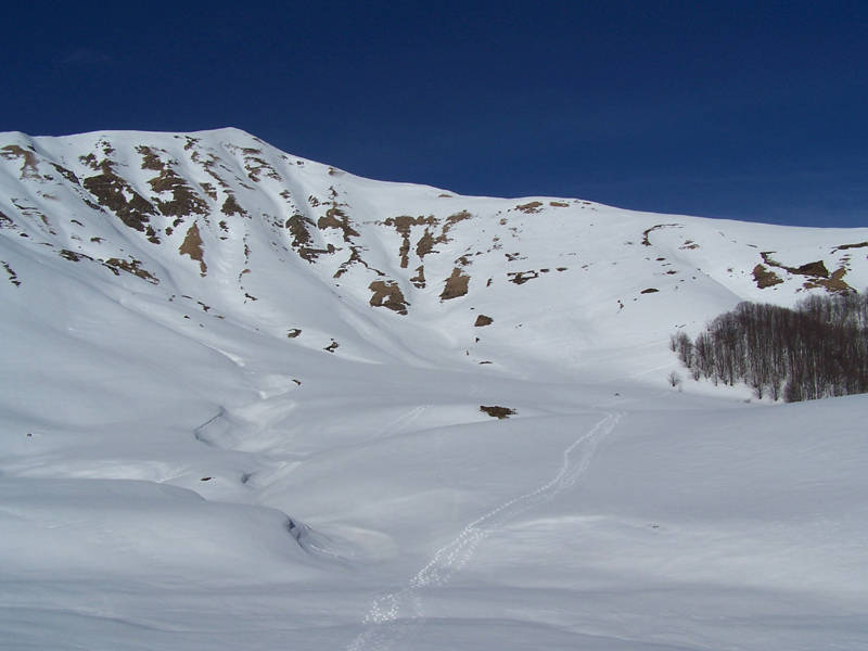 01-fuori-dal-bosco.JPG